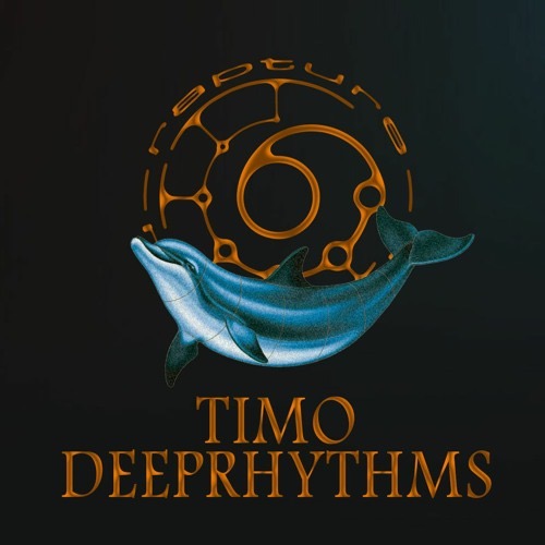 Rapture Network takeover: Timo Deeprhythms @ 9128.live Mix Cover