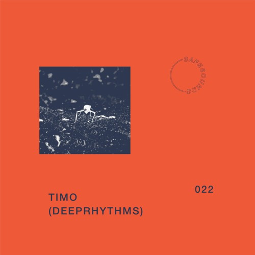 Safe Sounds 022 – Timo (Deeprhythms) Mix Cover