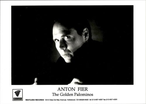 The Golden Palominos